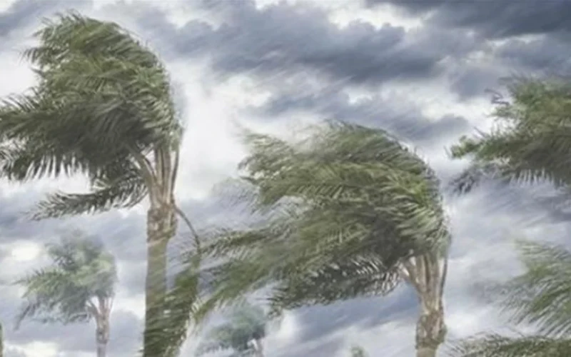 الأرصاد تحذر من تقلبات جوية تضرب مناطق شمال البلاد خلال ساعات اليوم